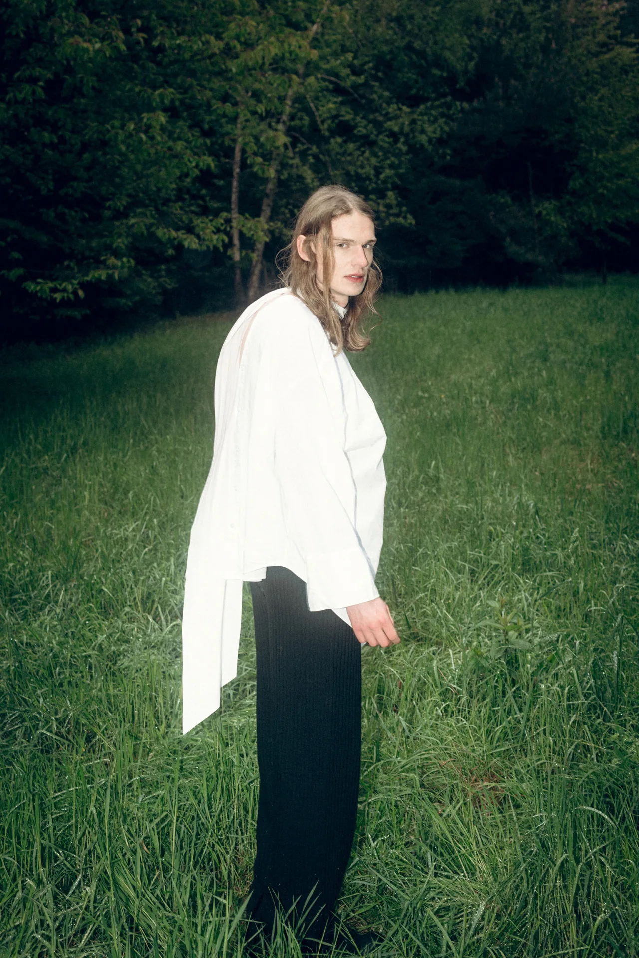 INTO THE WOODS — Sebastian Ganahl