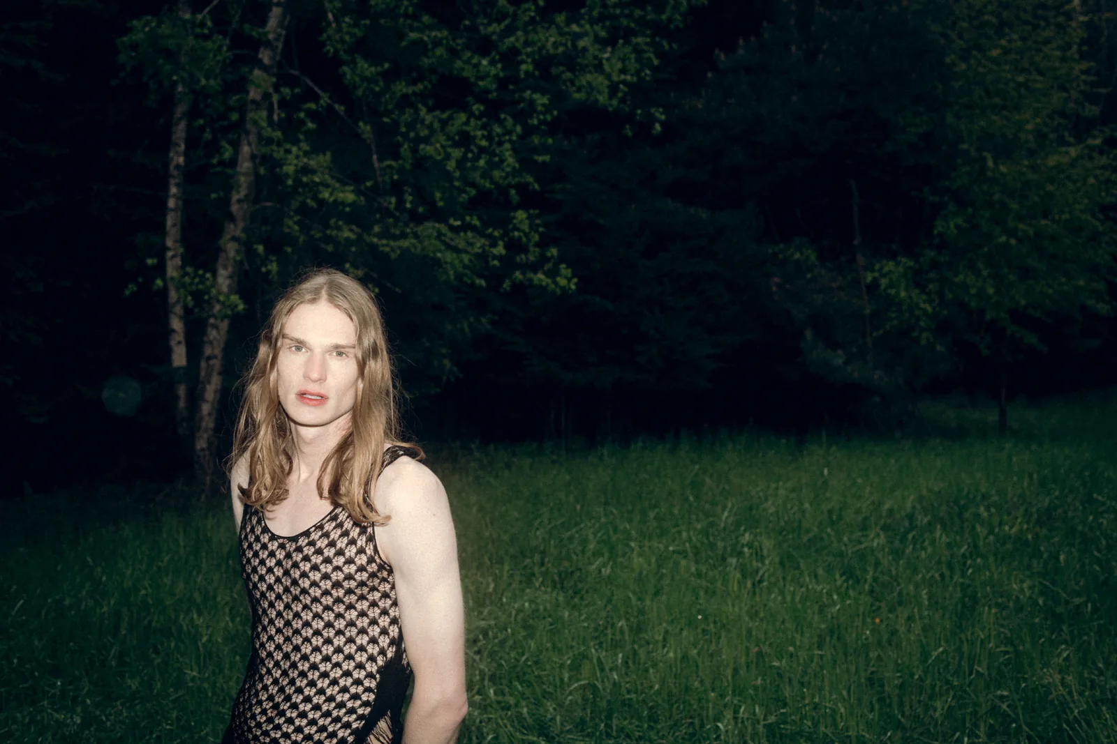 INTO THE WOODS — Sebastian Ganahl