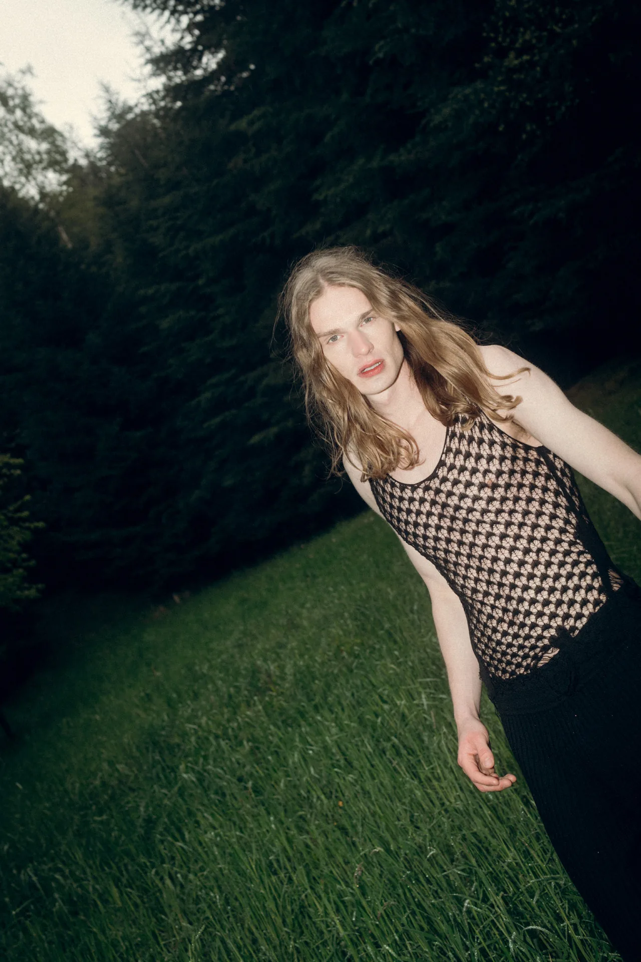 INTO THE WOODS — Sebastian Ganahl