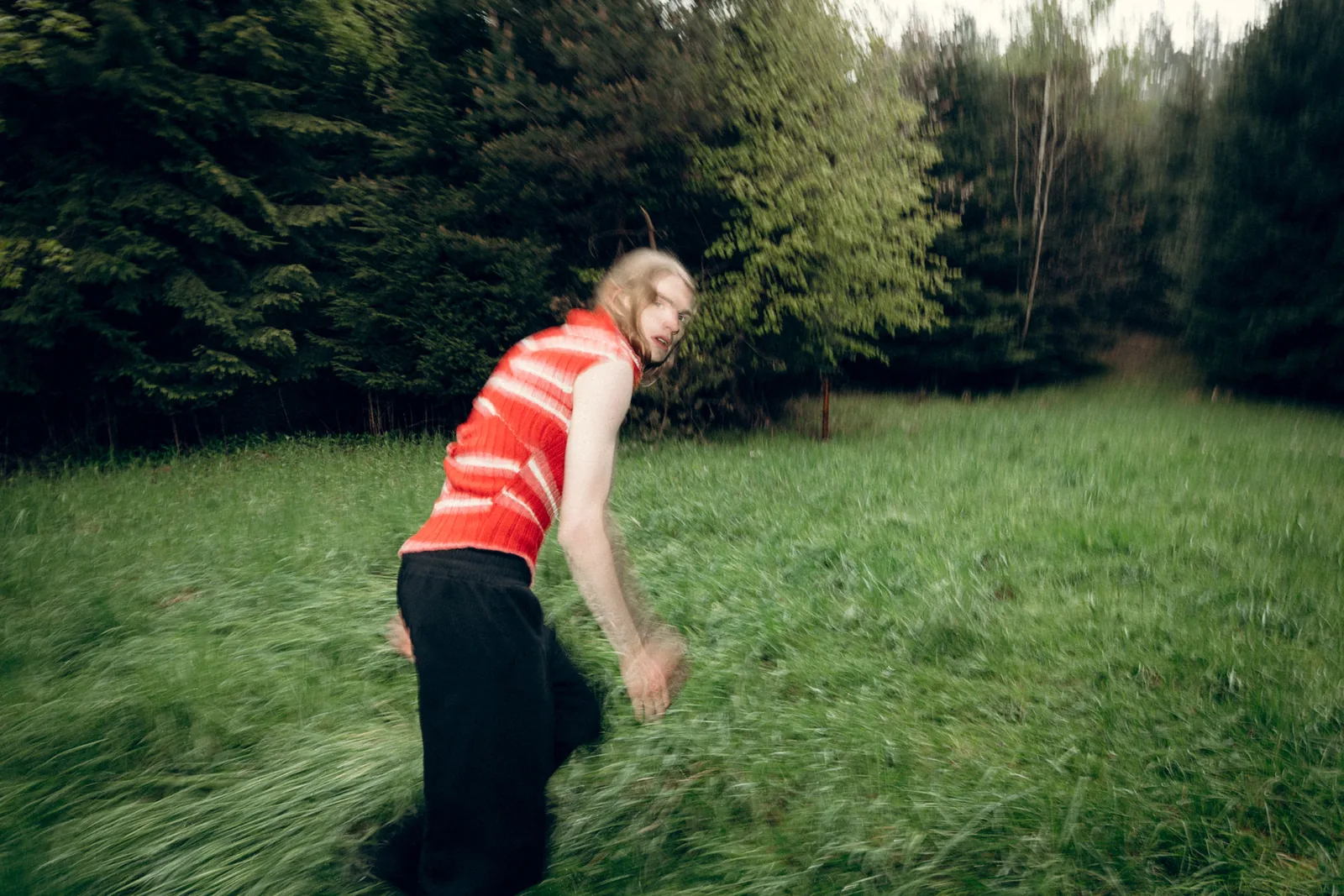 INTO THE WOODS — Sebastian Ganahl